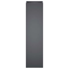 vidaXL Garden Planter Anthracite 20 x 20 x 75 cm Cold-rolled Steel 3
