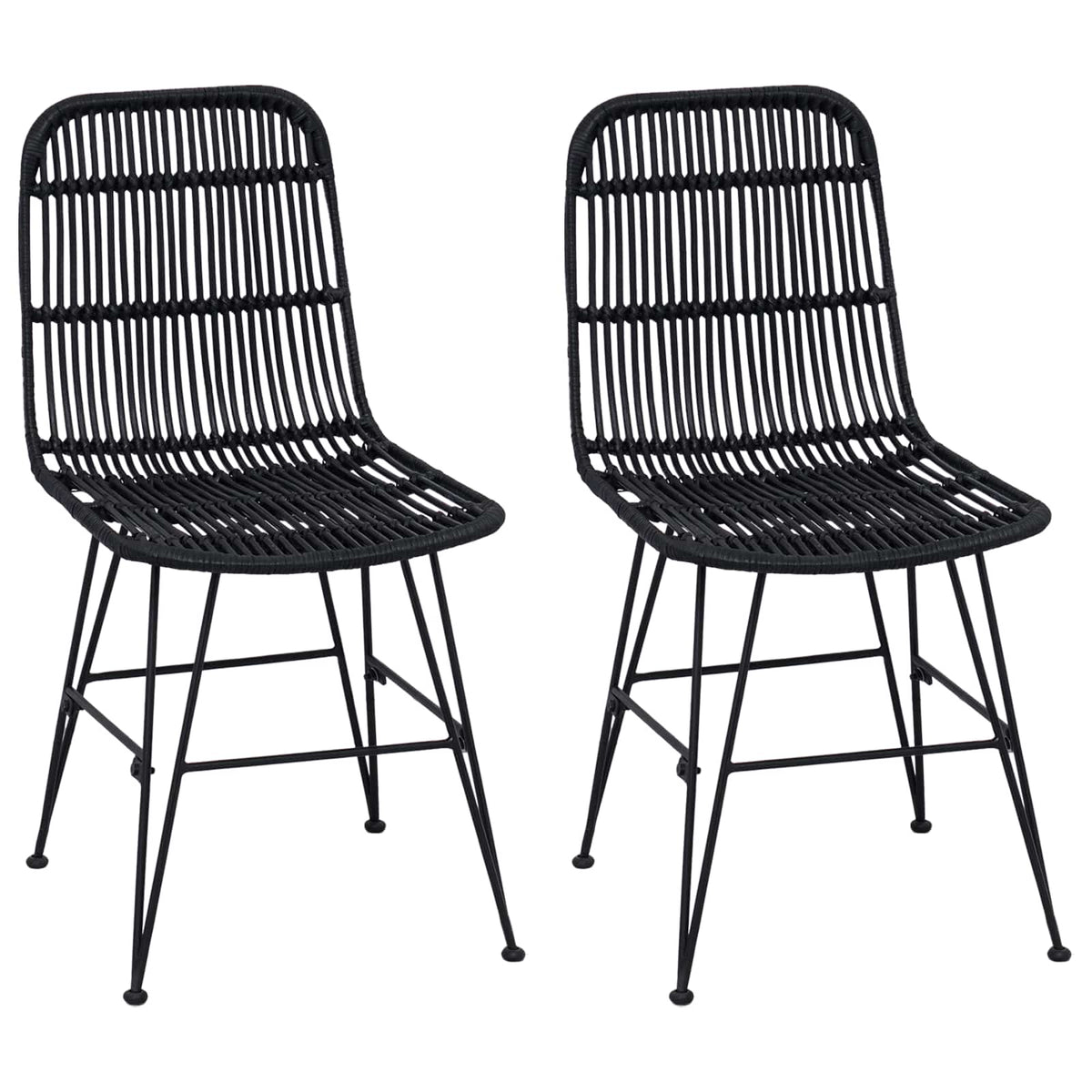 Dinning Chair 2 pcs Rattan and Steel
