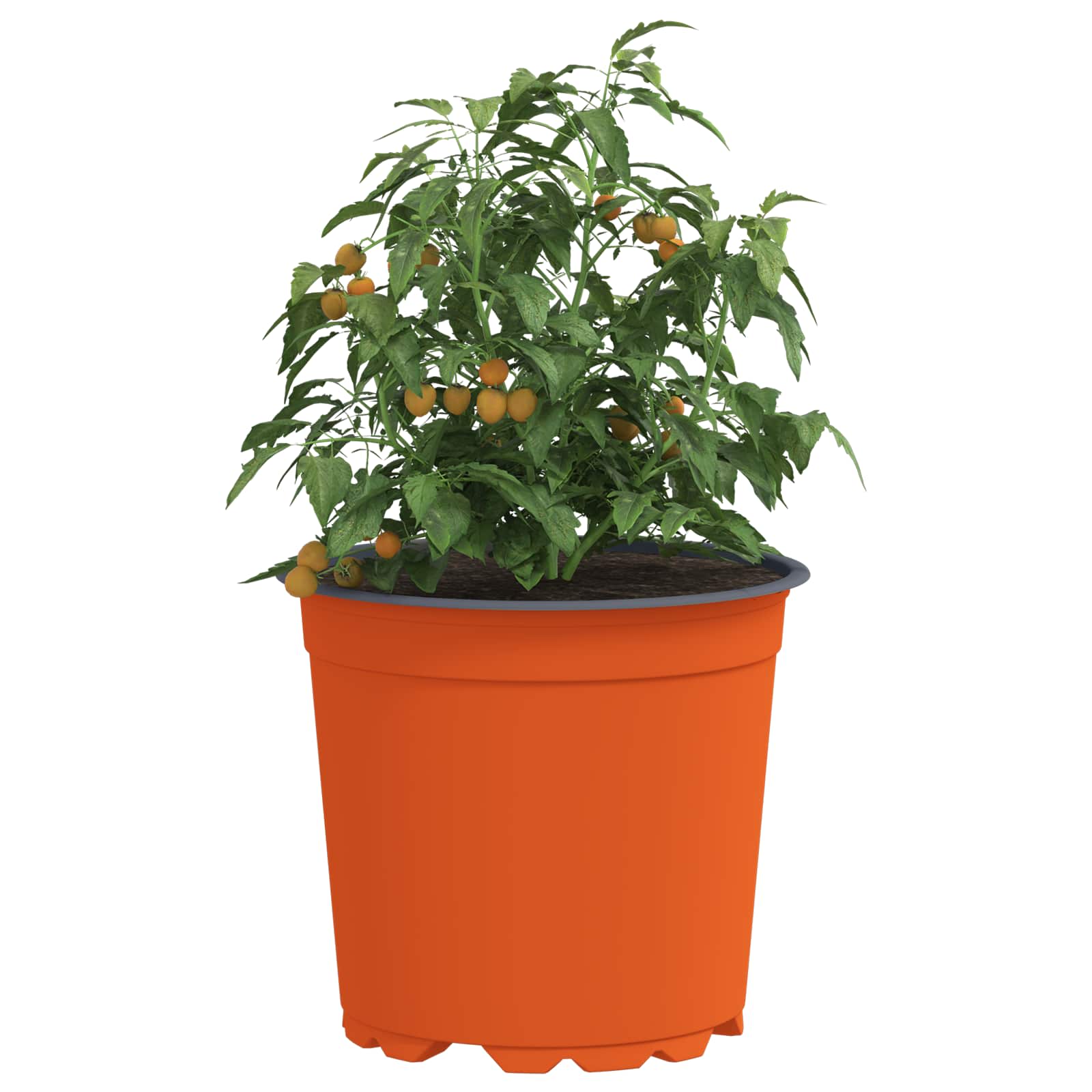 vidaXL Round Flower Pot 100 pcs Terracotta Ø 15 x 13 cm Plastic 3