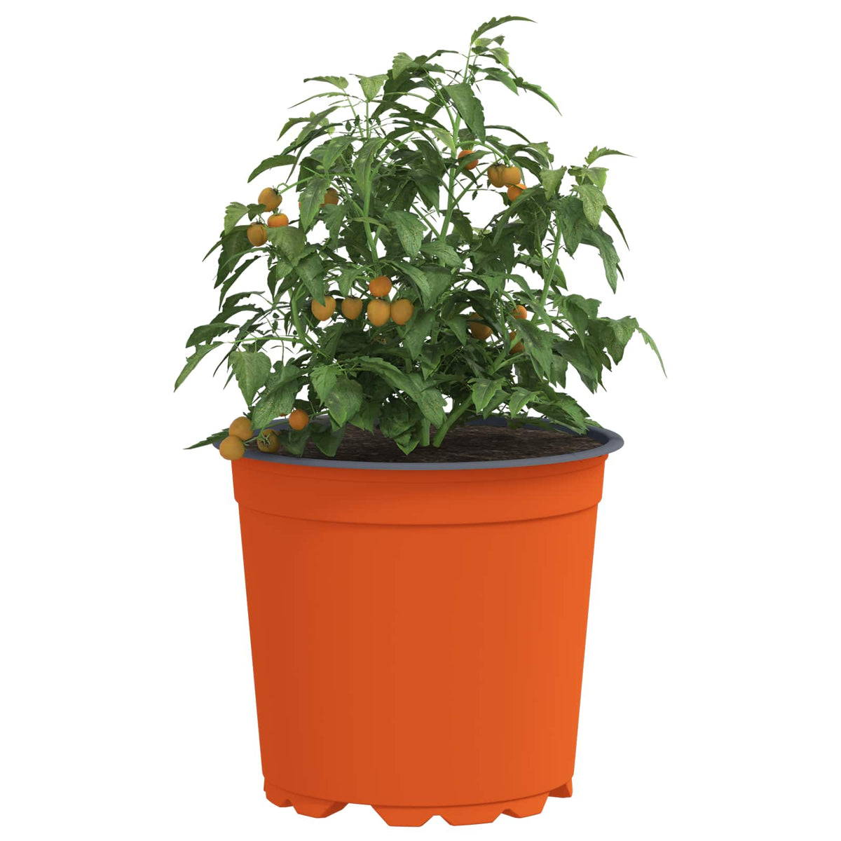Round Flower Pot Ø 10 x 8 cm Plastic Ceramic 15 cm 100