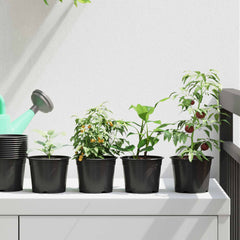 Round Flower Pot 200 pcs Black Plastic