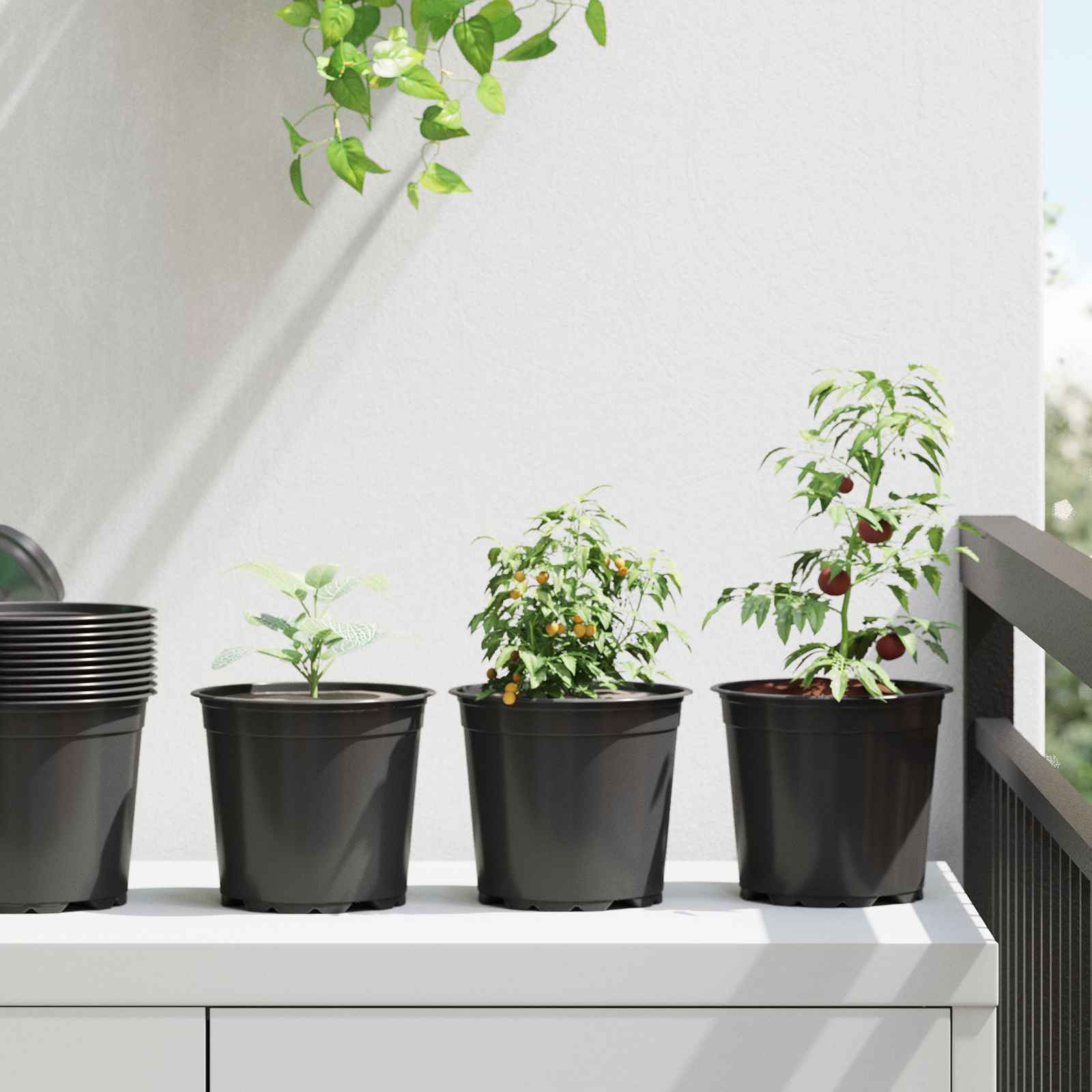 vidaXL Round Flower Pot 100 pcs Black Ø 15 x 13 cm Plastic 1