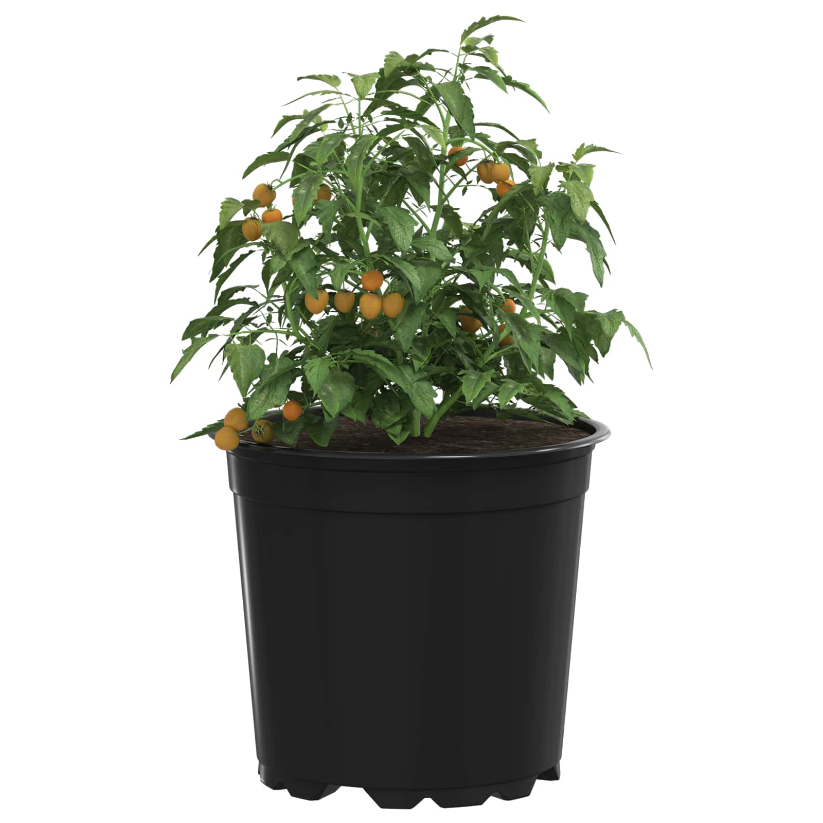 vidaXL Round Flower Pot 100 pcs Black Ø 15 x 13 cm Plastic 3