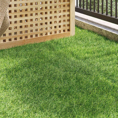 Artificial Grass PP & PE Green Thickness 50 mm 1 x 10 m