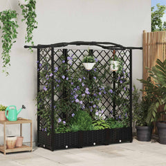 Raised Bed with Trellis and Roof PP Black with Curved Roof (3 Side trellis) 163 cm 123 cm