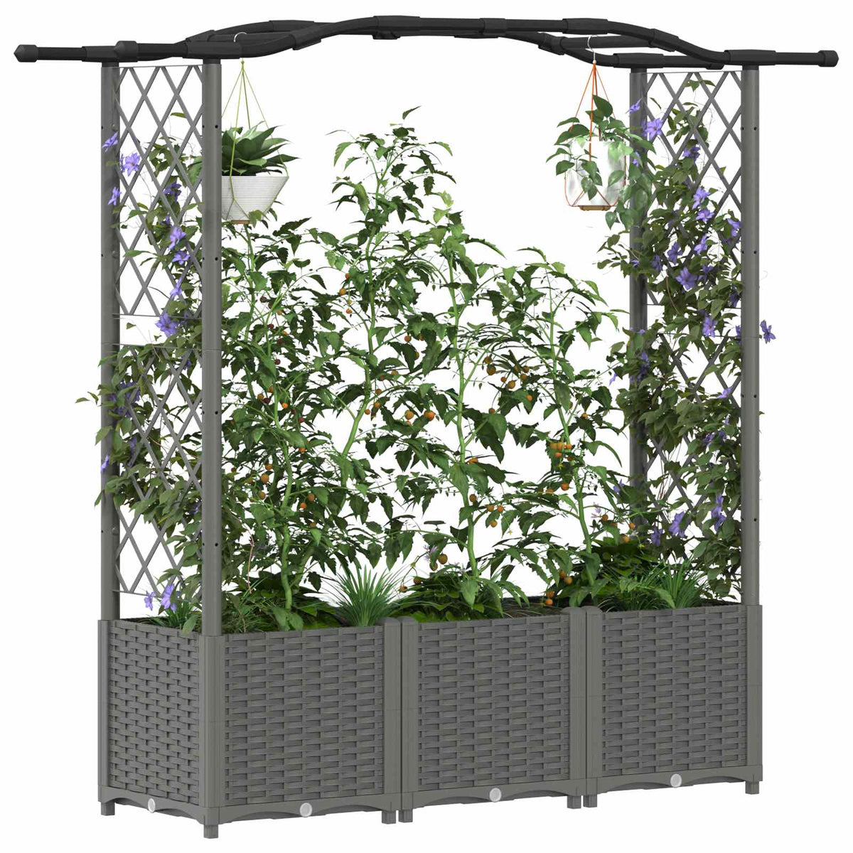 Raised Bed with Trellis and Roof Light Grey with Curved Roof (2 Side trellis) 164 cm 138 cm
