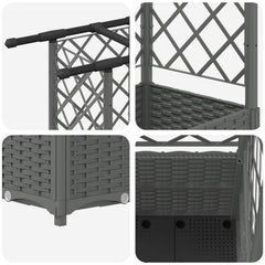 Raised Bed with Trellis and Roof Light Grey with Flat Roof (3 Side trellis) 163.5 cm 136 cm