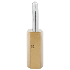 vidaXL U Lock with Keys 100 pcs Brass Iron 6