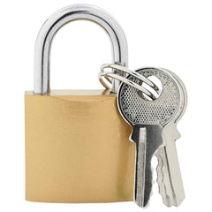 vidaXL U Lock with Keys 100 pcs Brass Iron 2