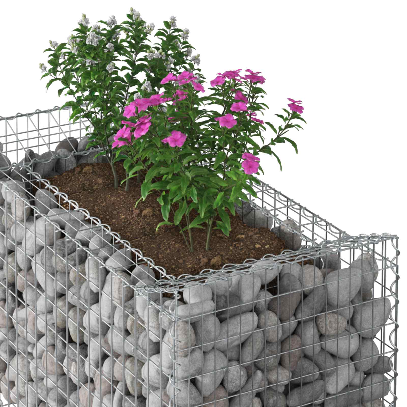 vidaXL Gabion Raised Bed 50 x 100 x 100 cm Galvanised Steel Silver 4