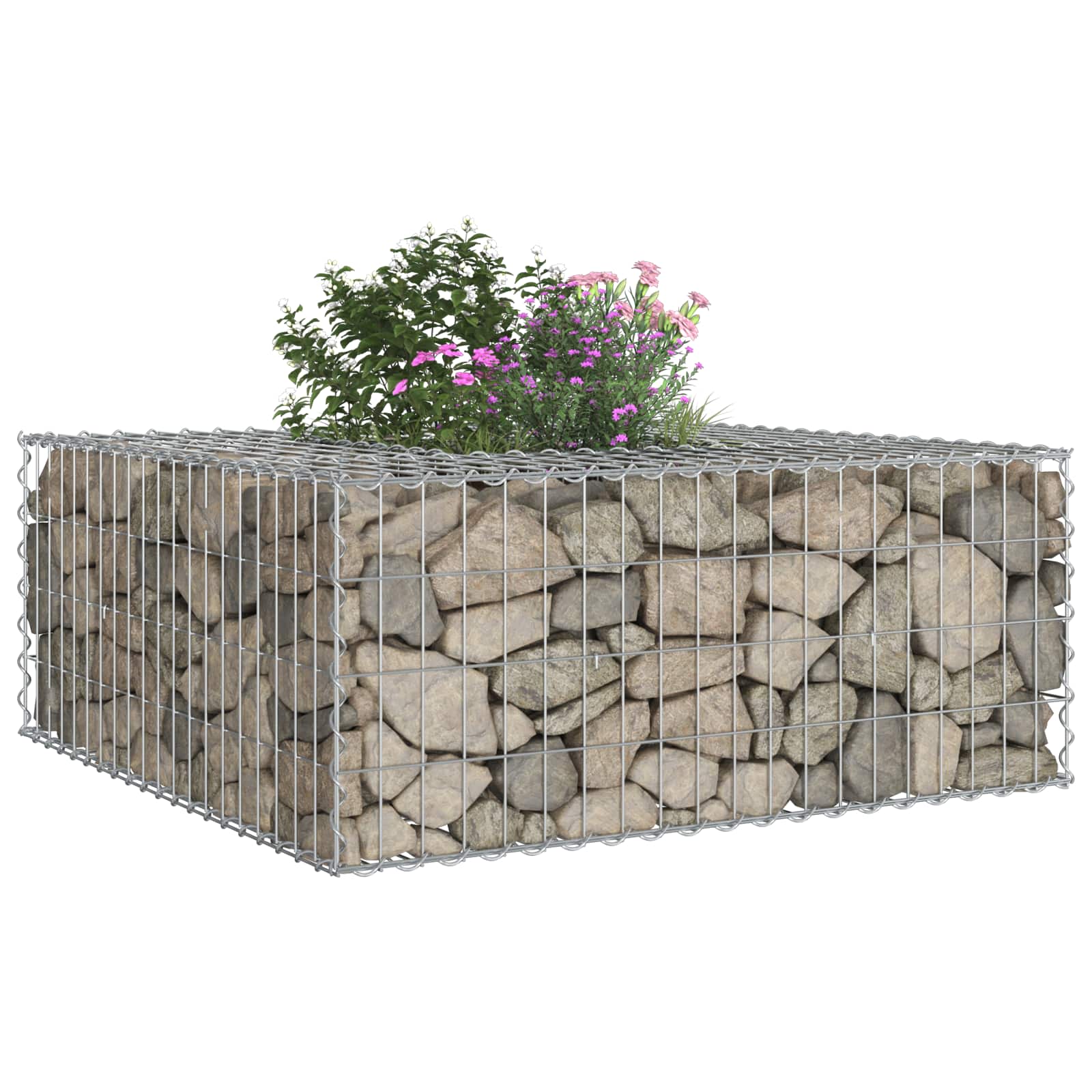 vidaXL Gabion Raised Bed 100 x 100 x 40 cm Galvanised Steel Silver 4