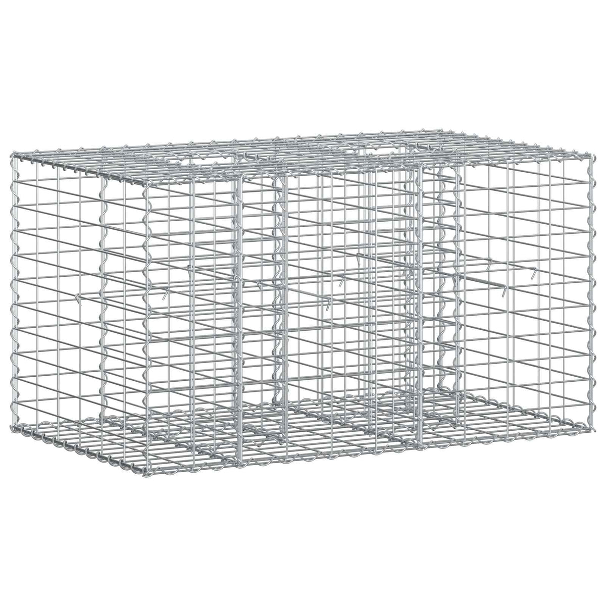 Gabion Raised Bed Galvanised Steel Silver 100 cm 55 cm 60 cm