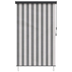 vidaXL Roller Blind Anthracite and White 100 x 250 cm 4