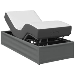 Electric Adjustable Bed Frame Steel Dark grey
