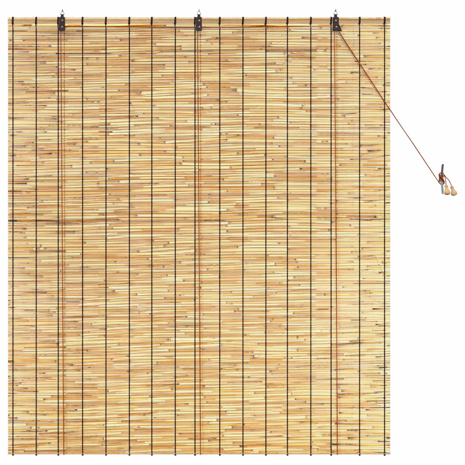 vidaXL Roller Blind Natural 140 x 160 cm Reed 3