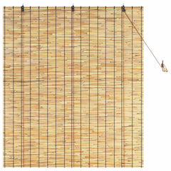 vidaXL Roller Blind Natural 140 x 160 cm Reed 3