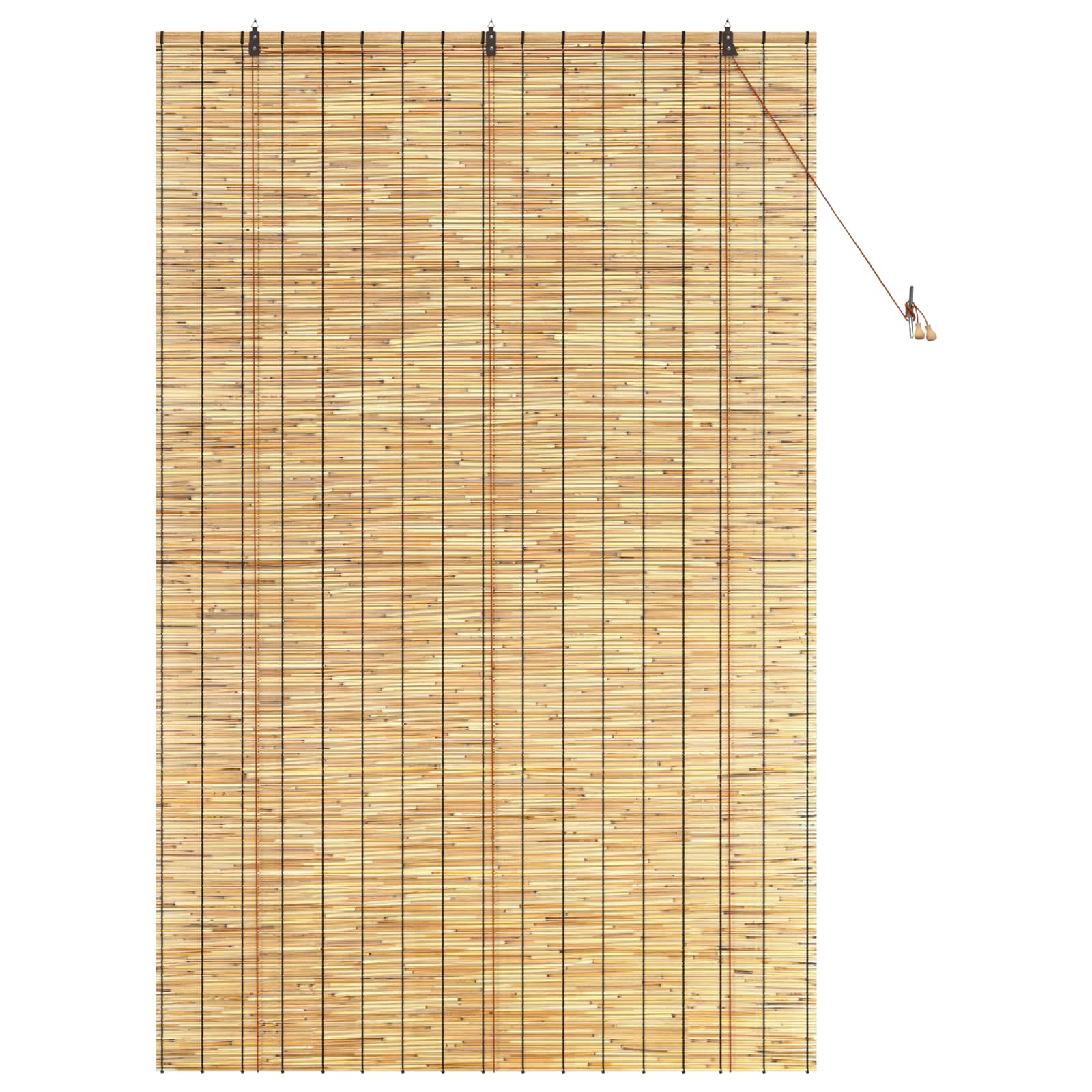 vidaXL Roller Blind Natural 140 x 220 cm Reed 3