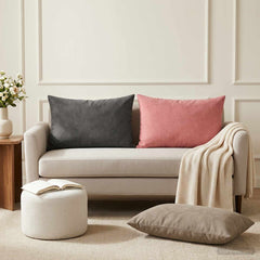 vidaXL Cushion with Pillow HEERLEN 2 pcs Light Grey Velvet 1