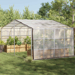 vidaXL Plant Cover Transparent 5 x 12 m PE 1