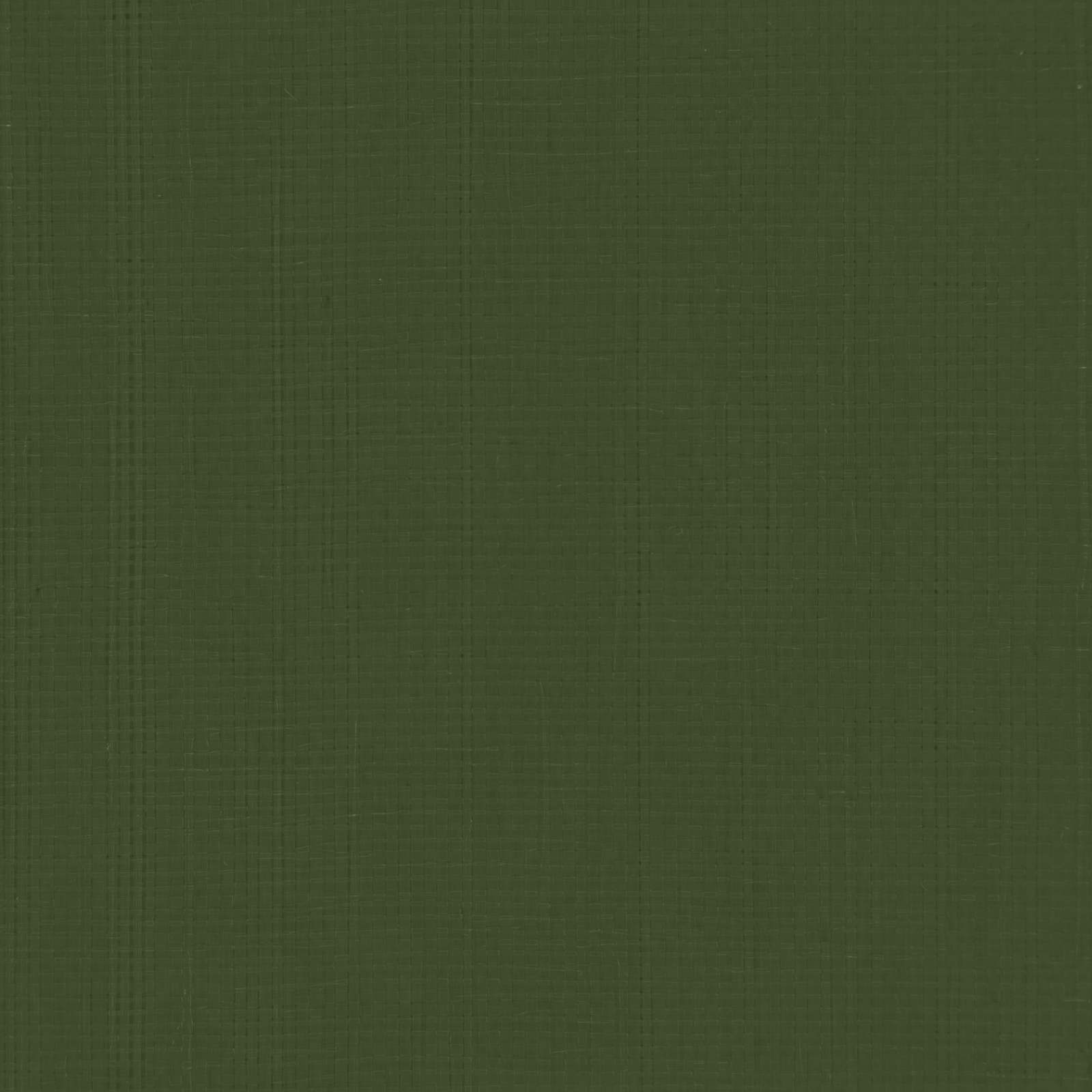 vidaXL Tarpaulin with Eyelets Green 8 x 8 m 180 gsm PE 6