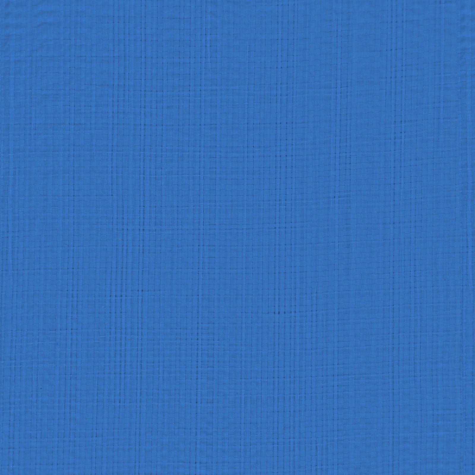 vidaXL Tarpaulin with Eyelets Blue 8 x 8 m 180 gsm PE 6