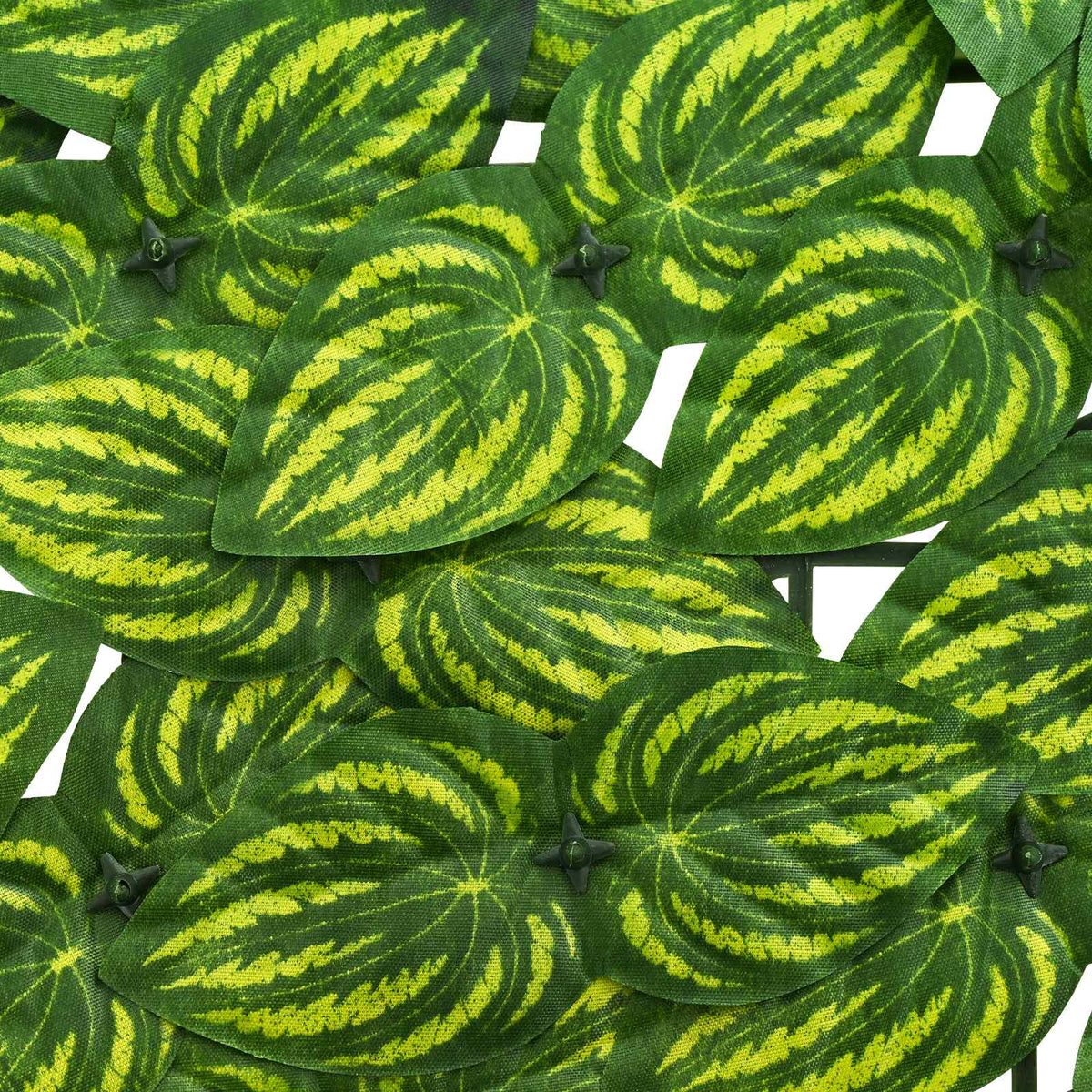 Balcony Screen Leaves Green Yellow