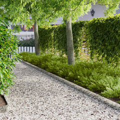vidaXL Lawn Edging 20 pcs 103 x 15 cm Steel Silver 1