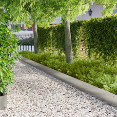 Lawn Edging 103 x Steel 10 in Stainless Steel