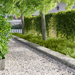 vidaXL Lawn Edging 10 pcs 103 x 30 cm Steel Silver 1