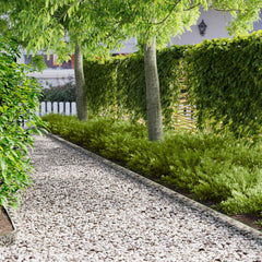 vidaXL Lawn Edging 20 pcs 103 x 10 cm Steel Silver 1