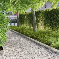 Lawn Edging 103 x Steel 10 pcs in Galvanised Steel