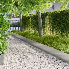 Lawn Edging 103 x Steel 10 pcs Height 30 cm Stainless steel