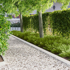 vidaXL Lawn Edging 20 pcs 103 x 10 cm Steel White 1