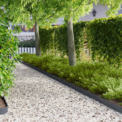 vidaXL Lawn Edging 20 pcs 103 x 10 cm Steel Anthracite 1