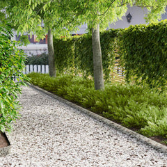 vidaXL Lawn Edging 20 pcs 103 x 10 cm Steel Silver 1