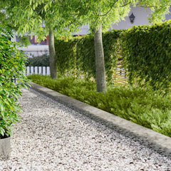 vidaXL Lawn Edging 10 pcs 103 x 25 cm Steel Silver 1