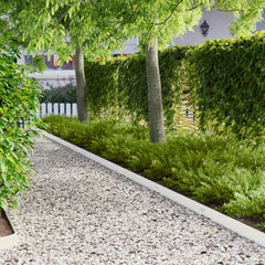 vidaXL Lawn Edging 20 pcs 100 x 12 cm Steel White 1