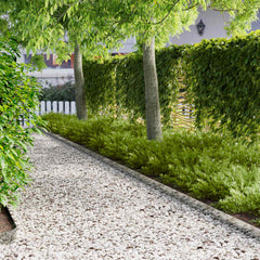vidaXL Lawn Edging 30 pcs 100 x 12 cm Steel Silver 1