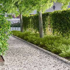 vidaXL Lawn Edging 20 pcs 103 x 15 cm Steel Silver 1