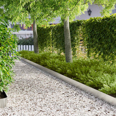 Lawn Edging Steel Stainless