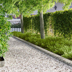 vidaXL Lawn Edging 20 pcs 100 x 12 cm Steel Silver 1