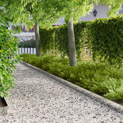 vidaXL Lawn Edging 20 pcs 100 x 15 cm Steel Silver 1