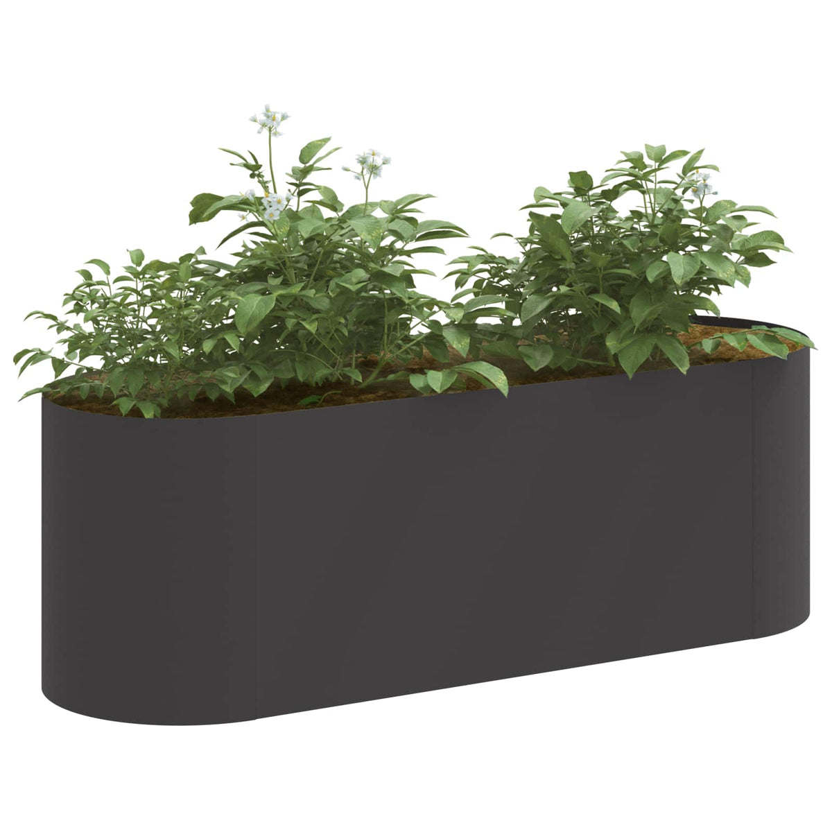 Raised Garden Bed 120 x 40x 40 cm Length 120 cm Black