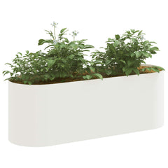 vidaXL Raised Garden Bed White 120 x 40x 40 cm 3