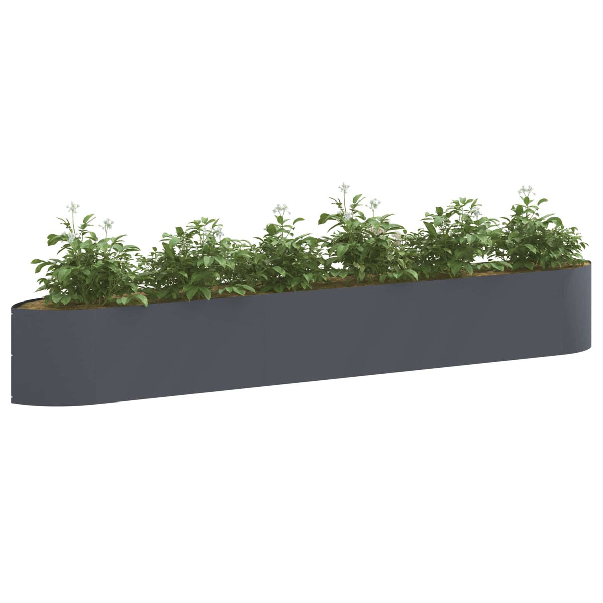 Raised Garden Bed 300 x 40x 40 cm Steel Anthracite