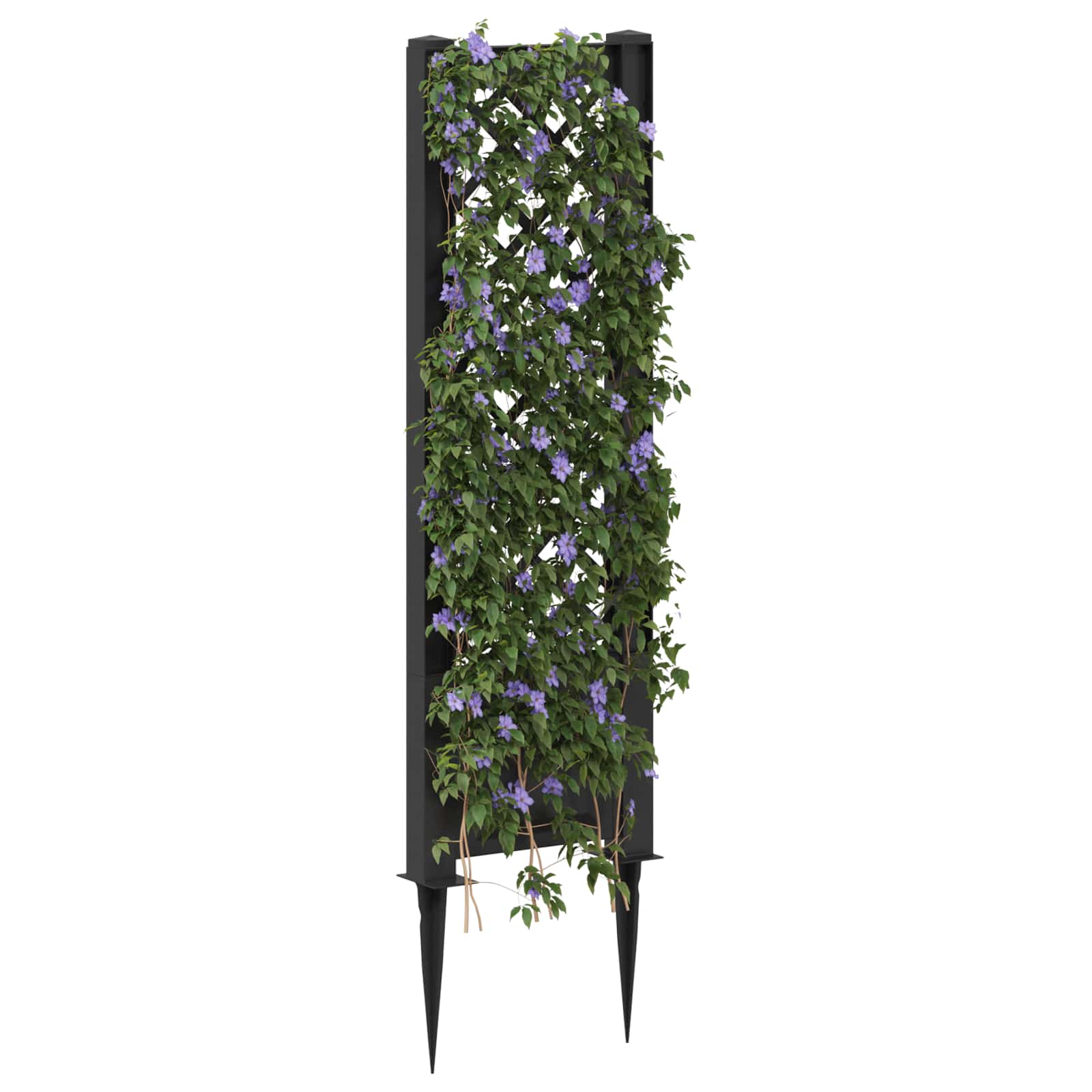 vidaXL Trellis with Spike PP Anthracite 3