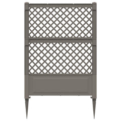 Trellis with Spike PP Grey