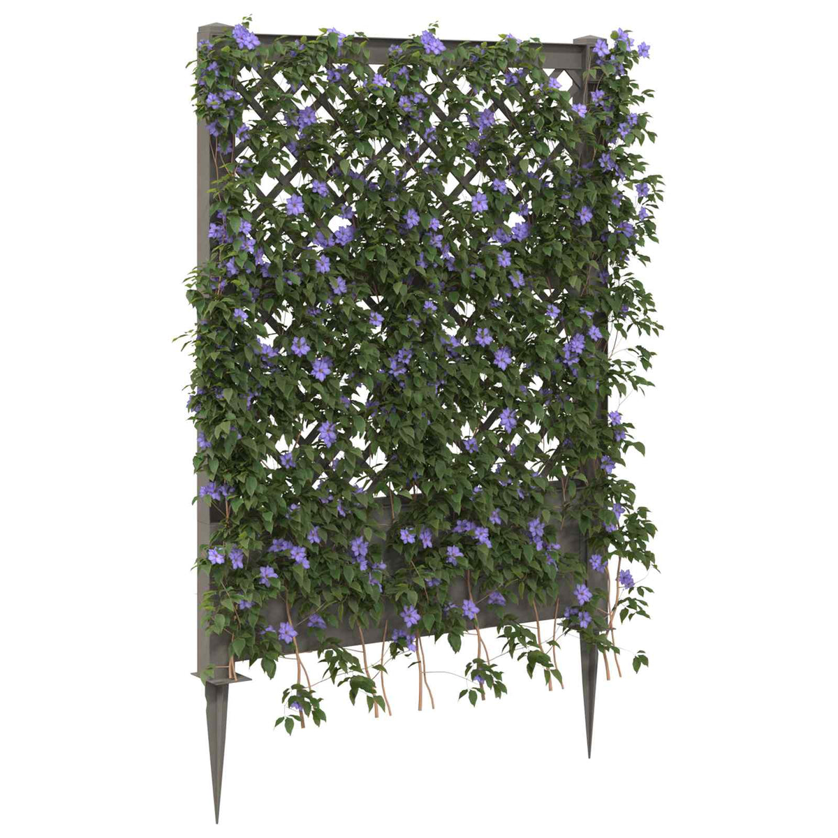 Trellis with Spike PP Grey