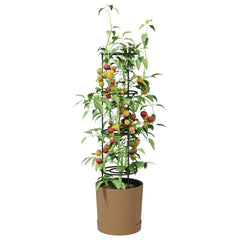 vidaXL Tomato Grower Naturo ECO Ø 39 x 139 cm WPC 3