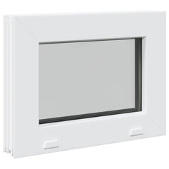 Cellar Window Internal Colour White RISOR with Double Glazing Width 35 cm 30 cm
